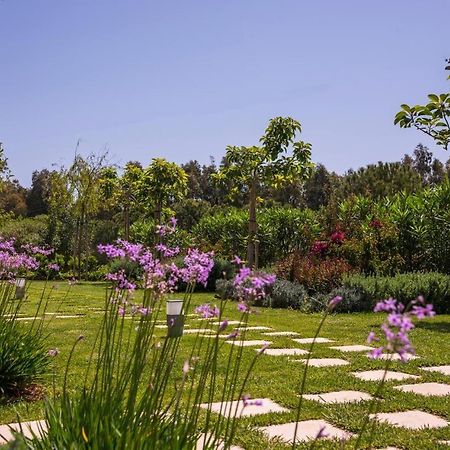 Mear Holiday Homes - Cretan Summer Getaways Kountoura Selino Exteriér fotografie