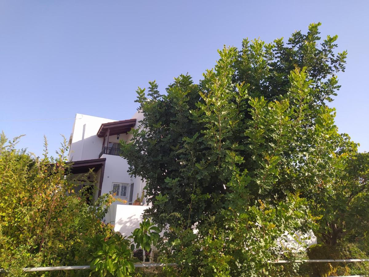 Mear Holiday Homes - Cretan Summer Getaways Kountoura Selino Exteriér fotografie